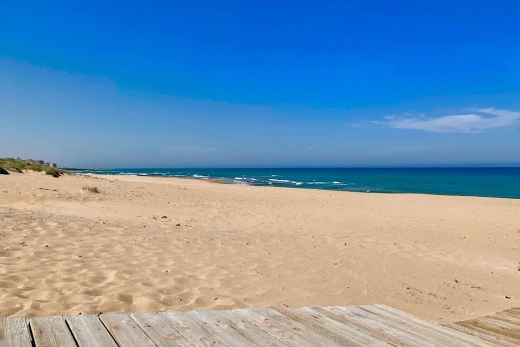 Azul Beach By La Mata Beach Torrevieja Exteriör bild